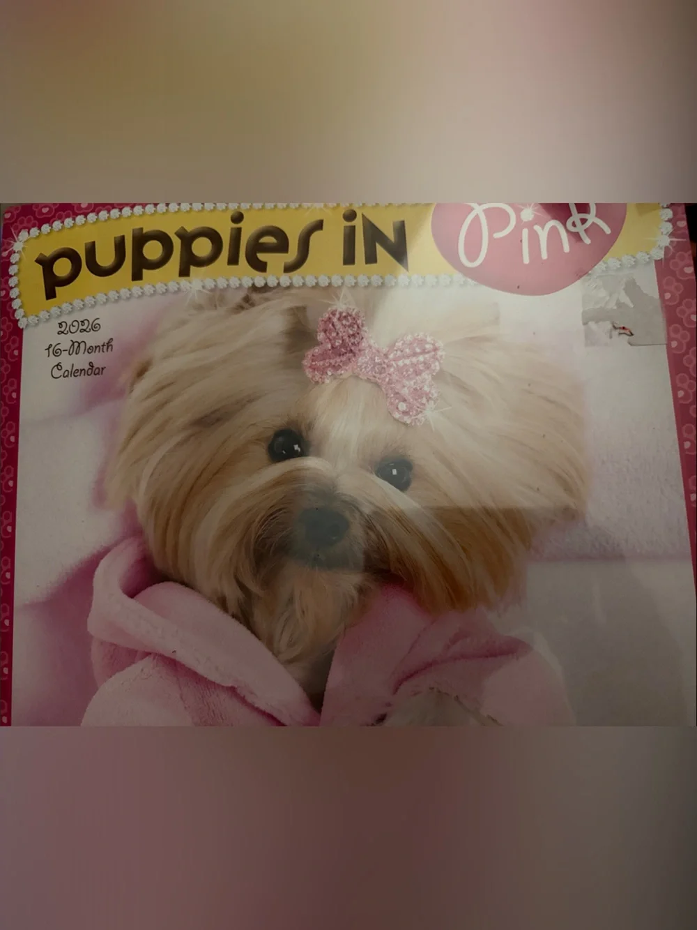 2026 Wall Calendar - Pink